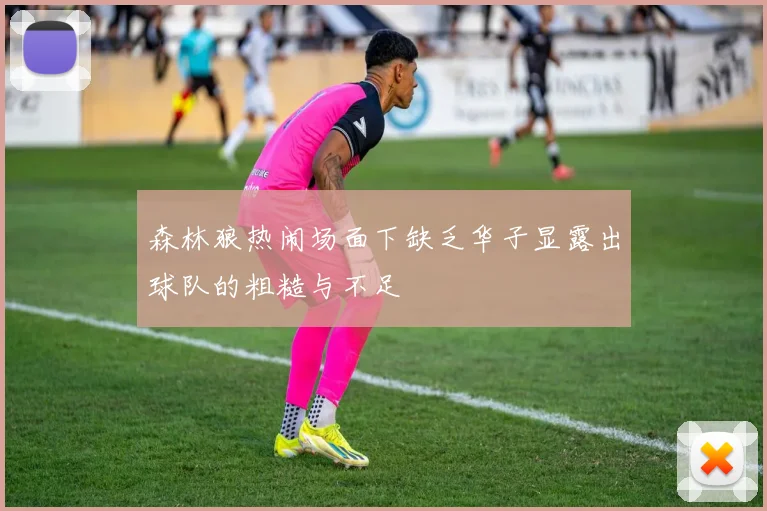 森林狼热闹场面下缺乏华子显露出球队的粗糙与不足