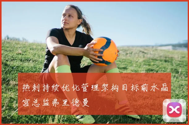 热刺持续优化管理架构目标前水晶宫总监弗里德曼