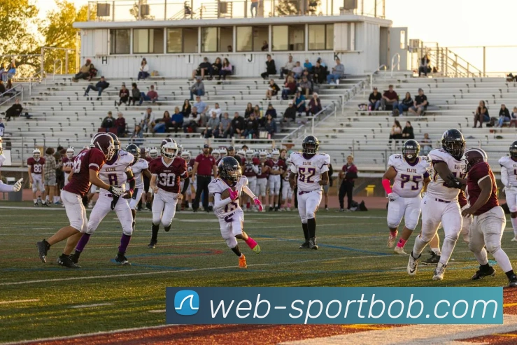 App Interface Preview